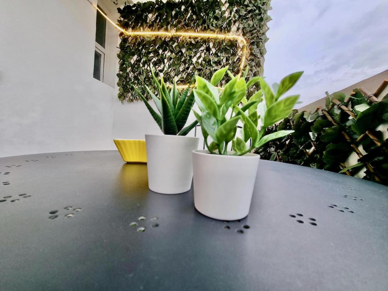 Apartamento Daniel サラゴサ エクステリア 写真